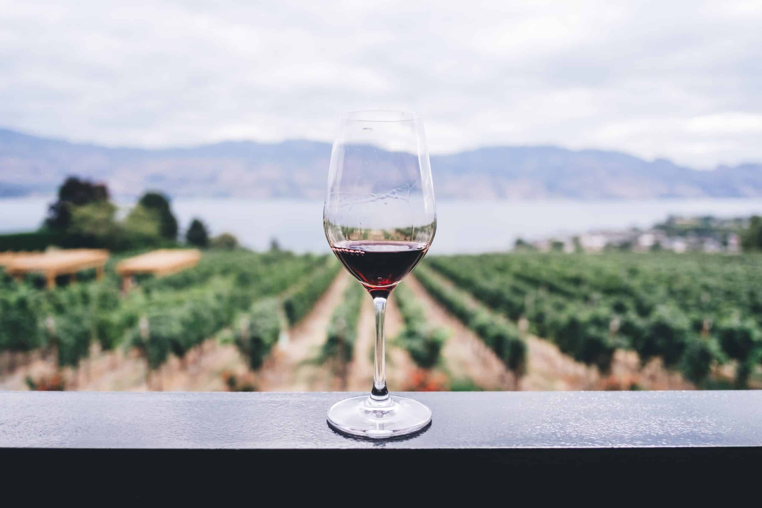 Prøv den eftertragtede vin fra Pomerol